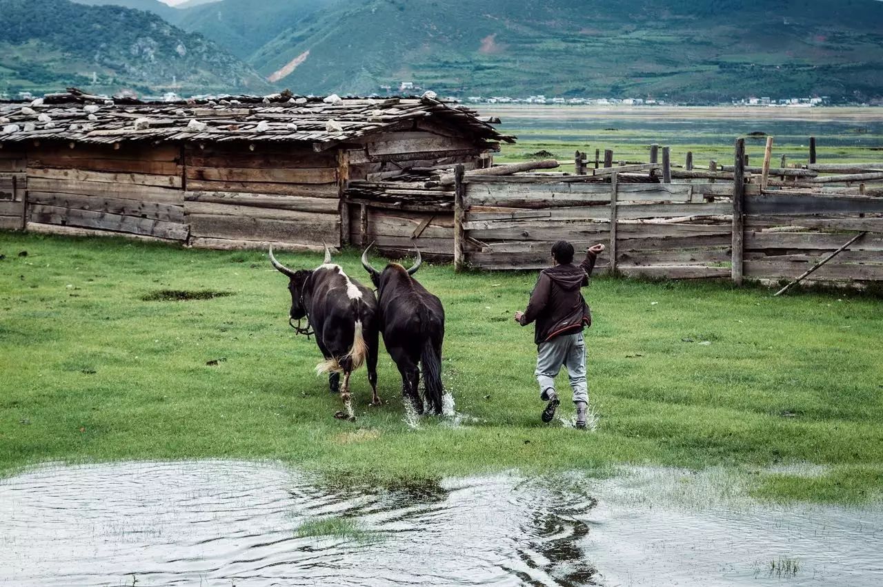 香格里拉薩洛頤度假酒店，以上帝視角看納帕海