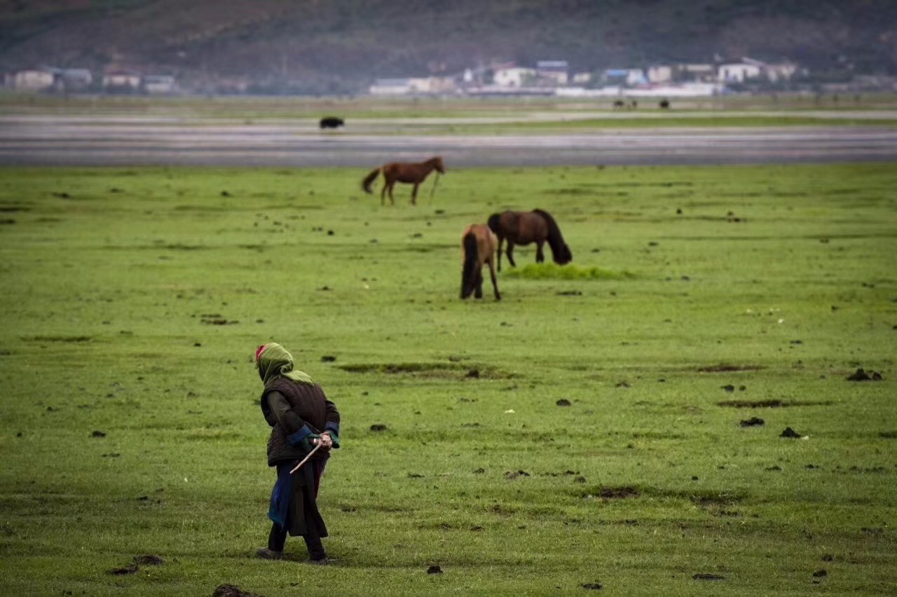 香格里拉薩洛頤度假酒店，以上帝視角看納帕海