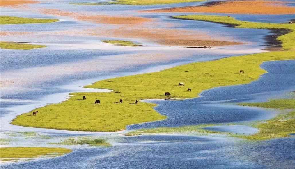 香格里拉薩洛頤度假酒店，以上帝視角看納帕海