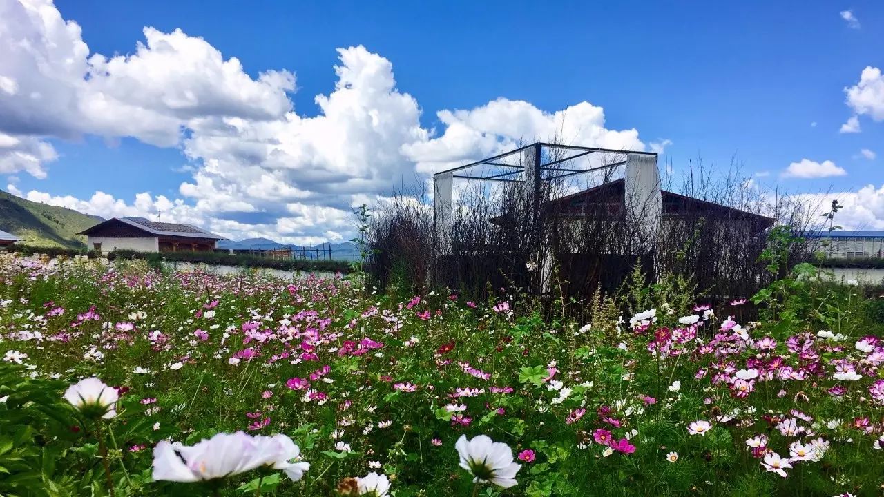 香格里拉薩洛頤度假酒店，以上帝視角看納帕海