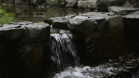 美豪西湖店，枕著西湖的美景入眠