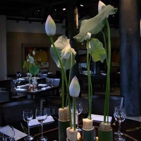 福佳“奇趣花園市集”，體驗(yàn)大自然的美好