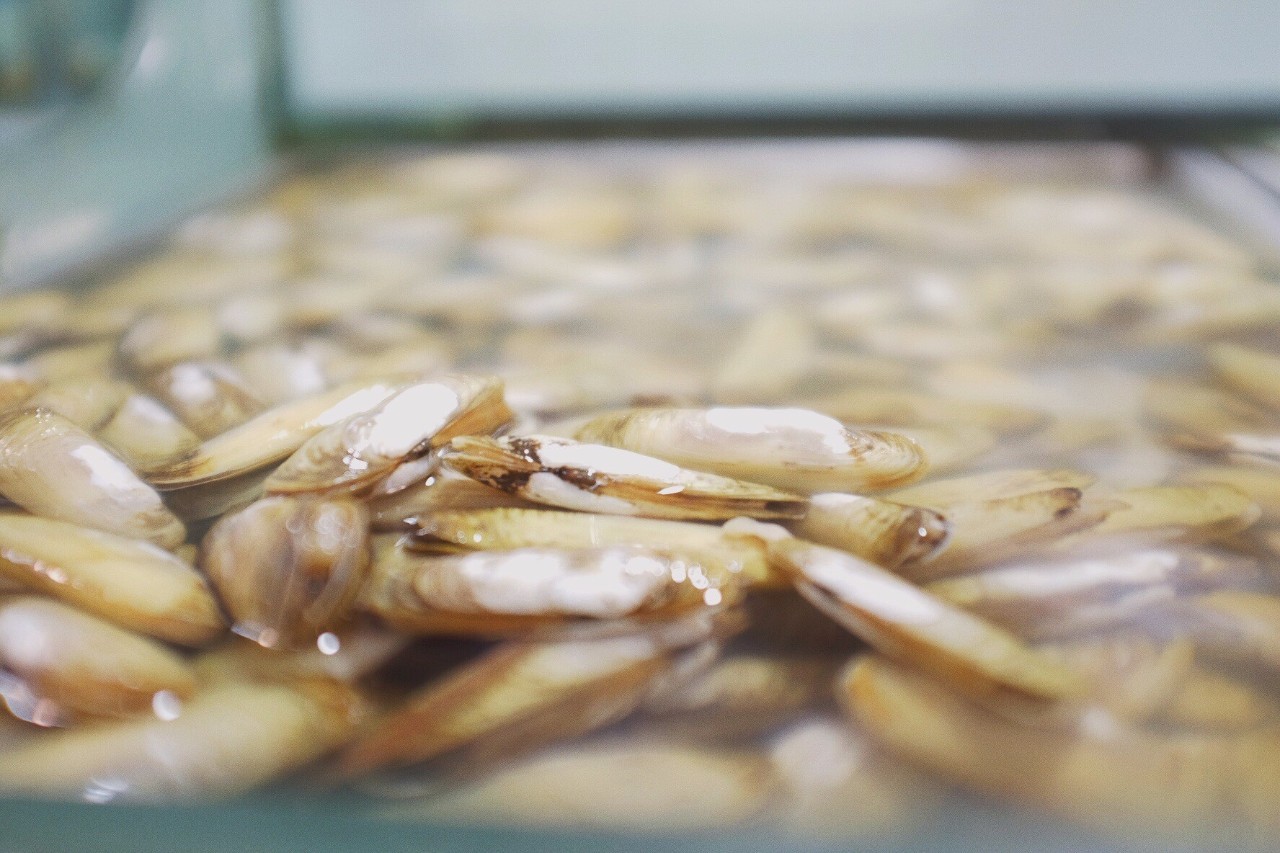 心湖·悅空間，用民宿的方式愛著我的小島生活