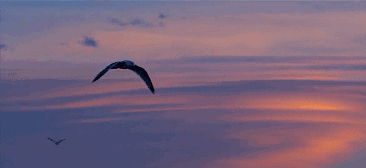 心湖·悅空間，用民宿的方式愛(ài)著我的小島生活