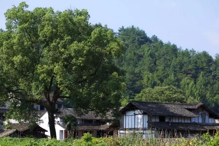 中國(guó)古建筑，千年古村不會(huì)消失但卻只剩下老房