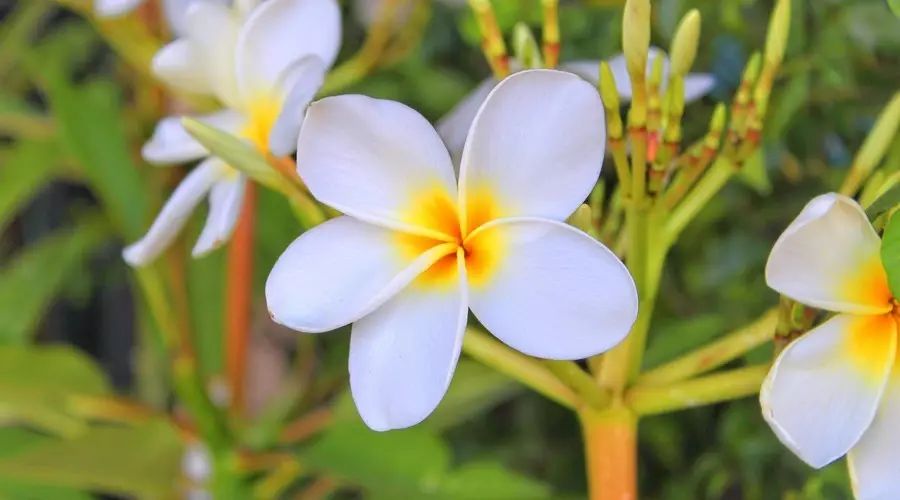 巴厘島·寓薦民宿，最美的巴厘島