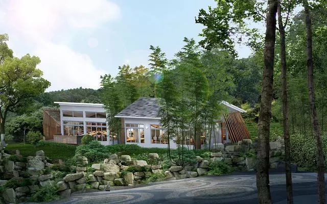 珀洱半坡，在竹海樹林之間盡享山間好風光