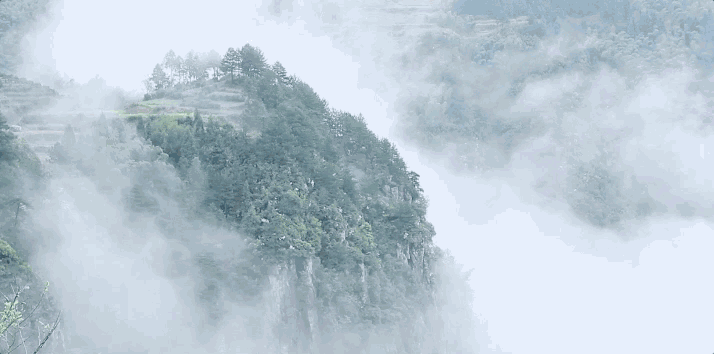 螞蟻尚墅，在山谷的花田美舍里生活