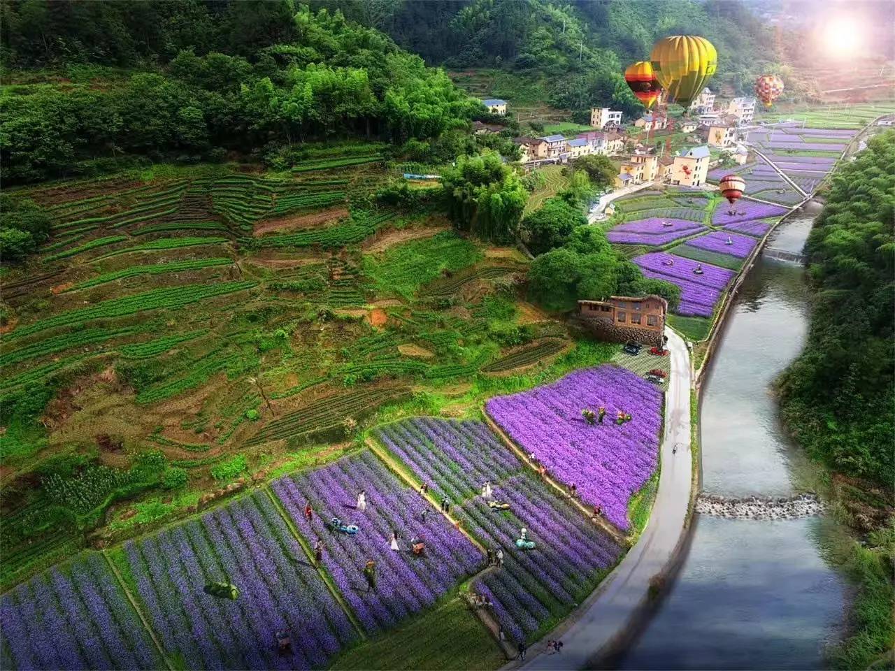 螞蟻尚墅，在山谷的花田美舍里生活