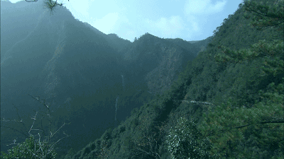 螞蟻尚墅，在山谷的花田美舍里生活