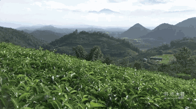 湖州嶺霧，在云霧之巔把自然搬進(jìn)屋內(nèi)