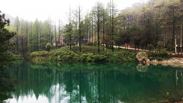 湖州嶺霧，在云霧之巔把自然搬進屋內(nèi)