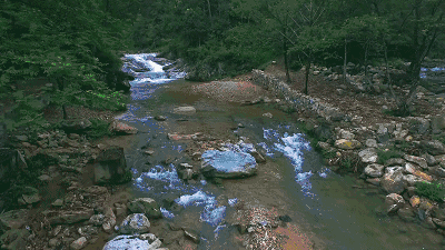 陌上·花溪堂，陌上花開笑顏傾城