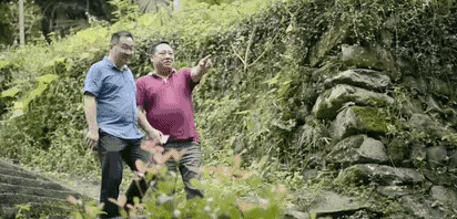 陌上·花溪堂，陌上花開笑顏傾城