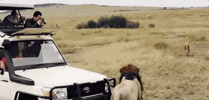 陌上·花溪堂，陌上花開笑顏傾城