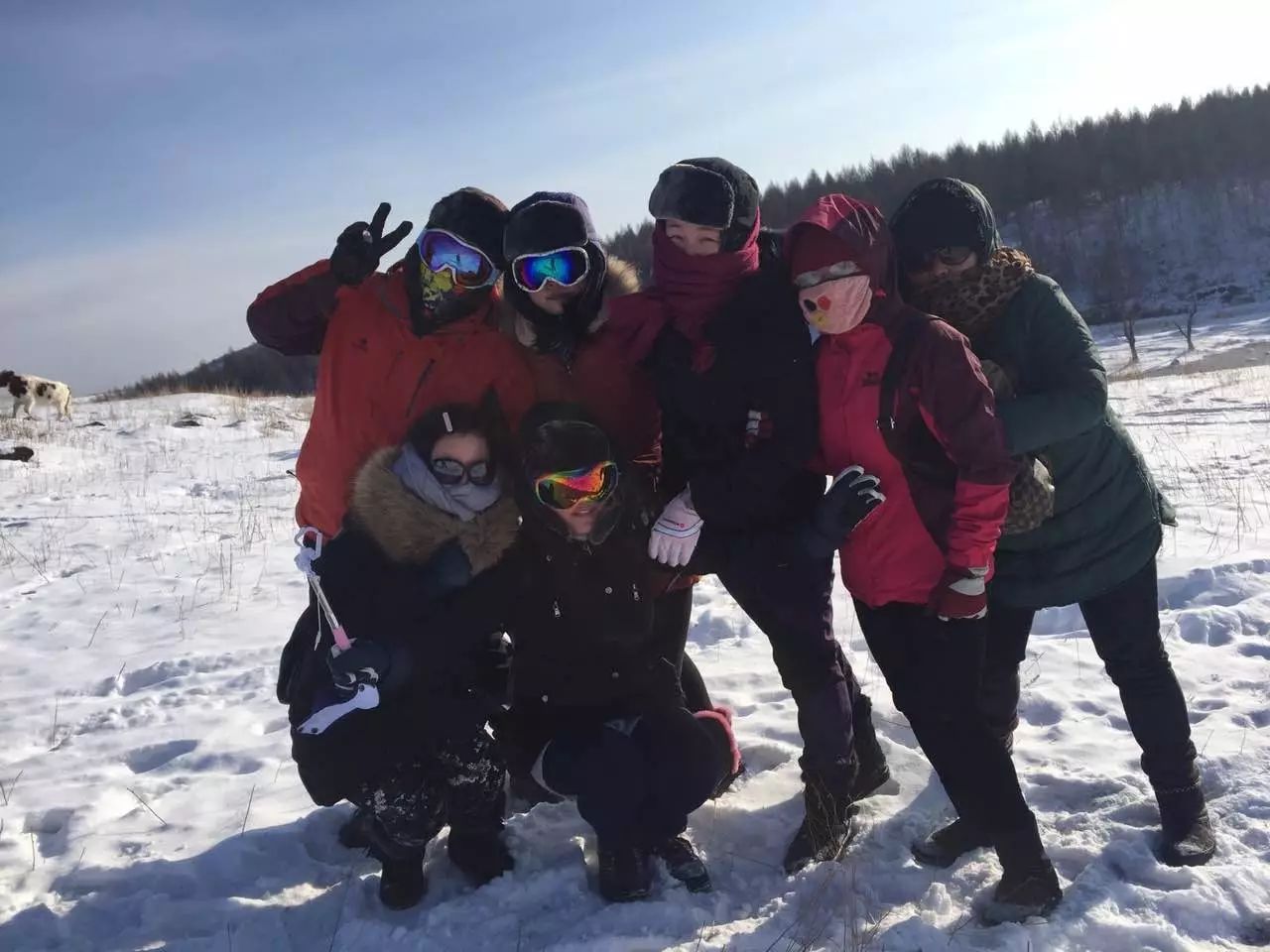 陌上·花溪堂，陌上花開笑顏傾城