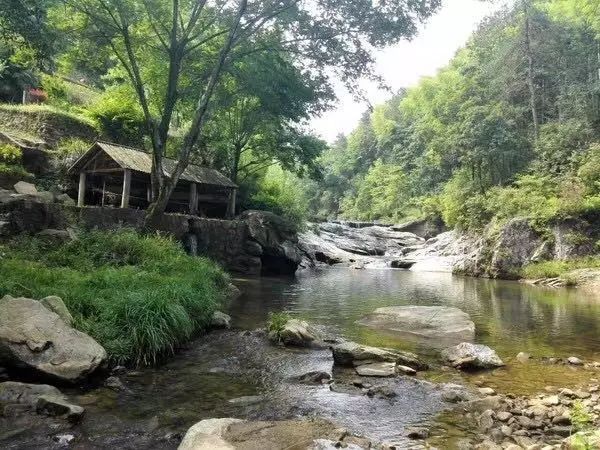 陌上·花溪堂，陌上花開笑顏傾城