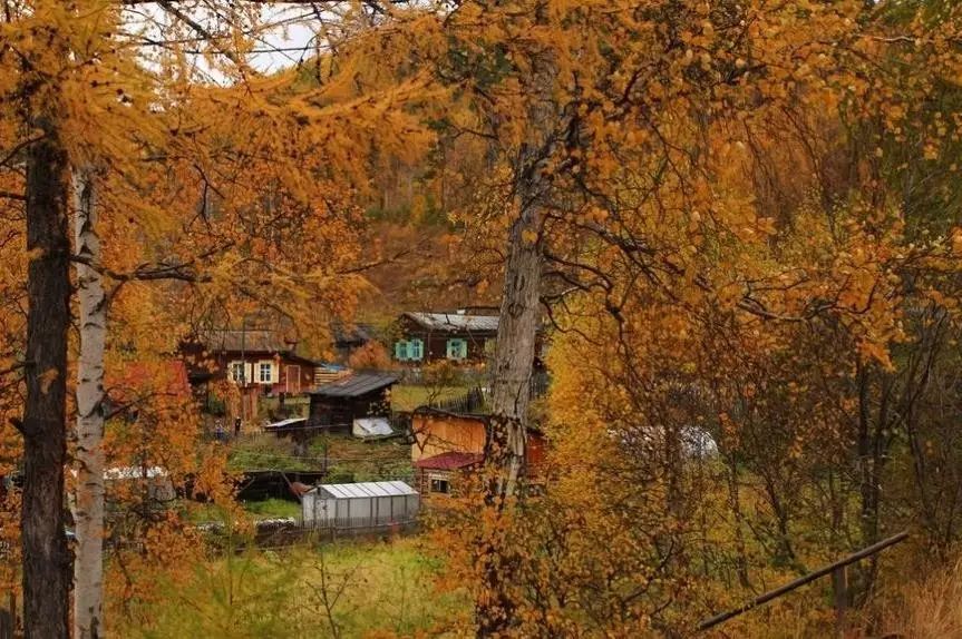 陌上·花溪堂，陌上花開笑顏傾城