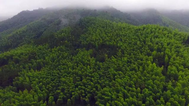 陌上·花溪堂，陌上花開笑顏傾城