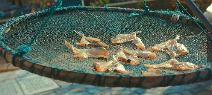 溫州·花崗漁村，海外桃源別有天此間小住亦神仙