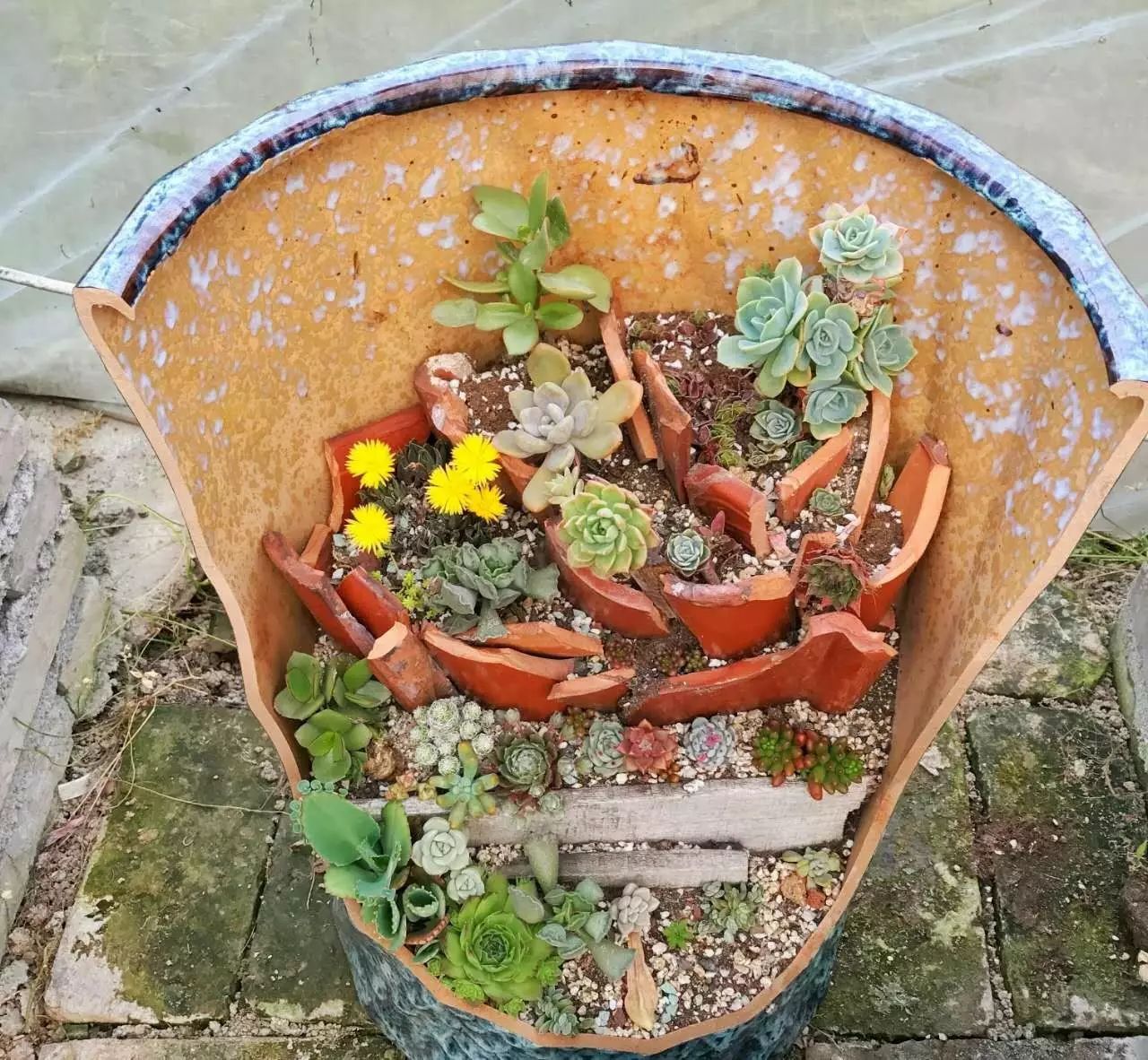 溫州·花崗漁村，海外桃源別有天此間小住亦神仙