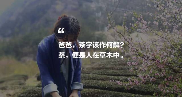 曉陽春茶，尋找茶道融于茶水中的美好生活