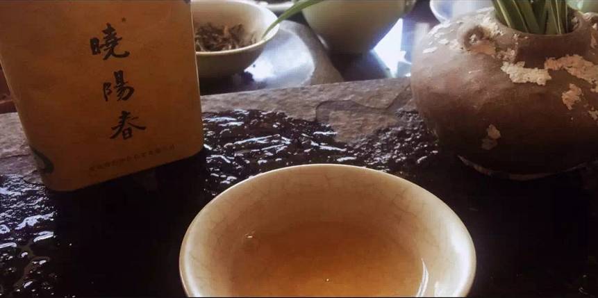 曉陽春茶，尋找茶道融于茶水中的美好生活