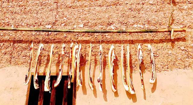 桃花壹號(hào)，靜下來品味生活最美的那一面