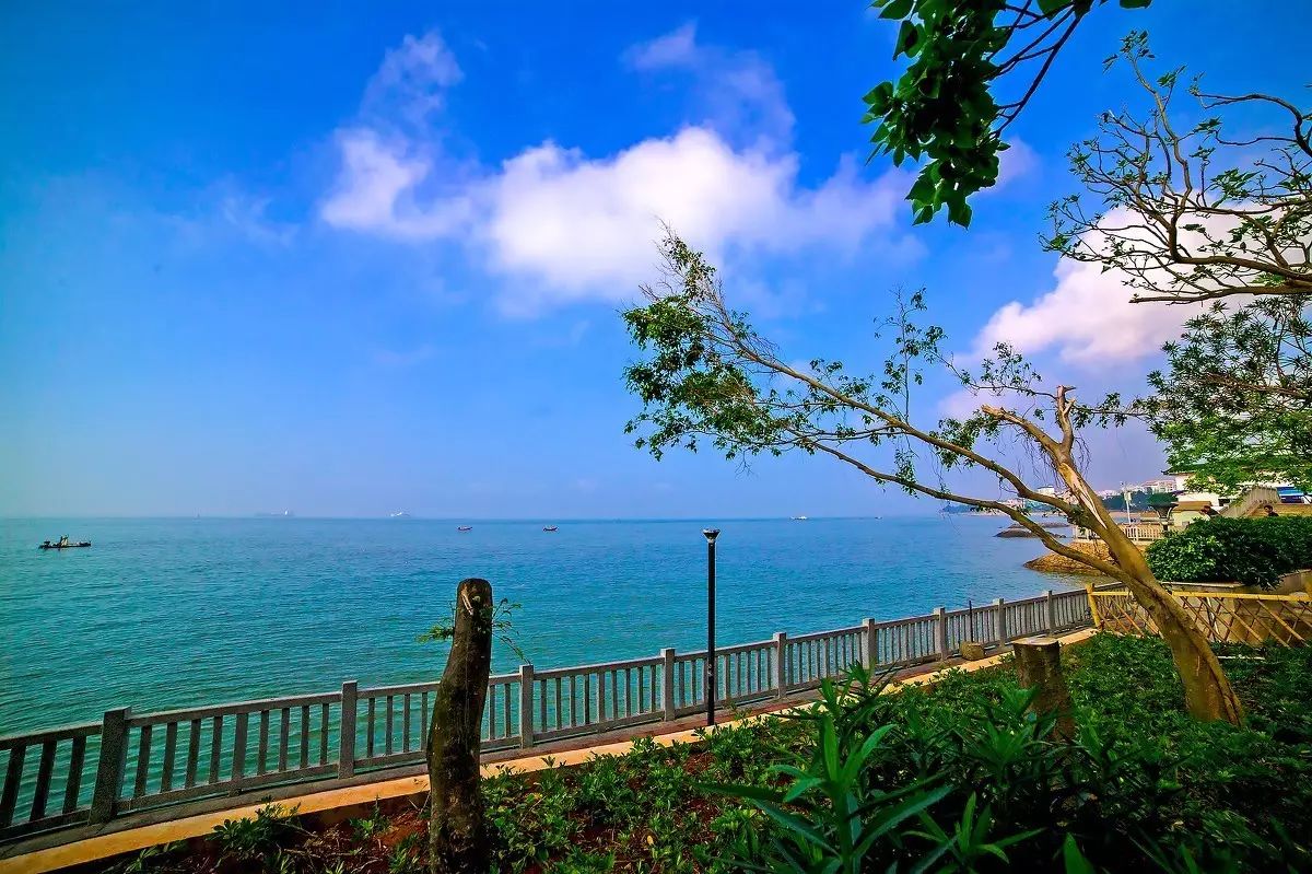 三個廈大人，做一個最廈門最廈大的民宿夢