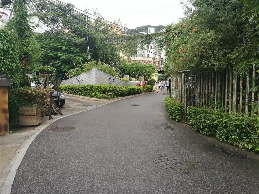 三個廈大人，做一個最廈門最廈大的民宿夢