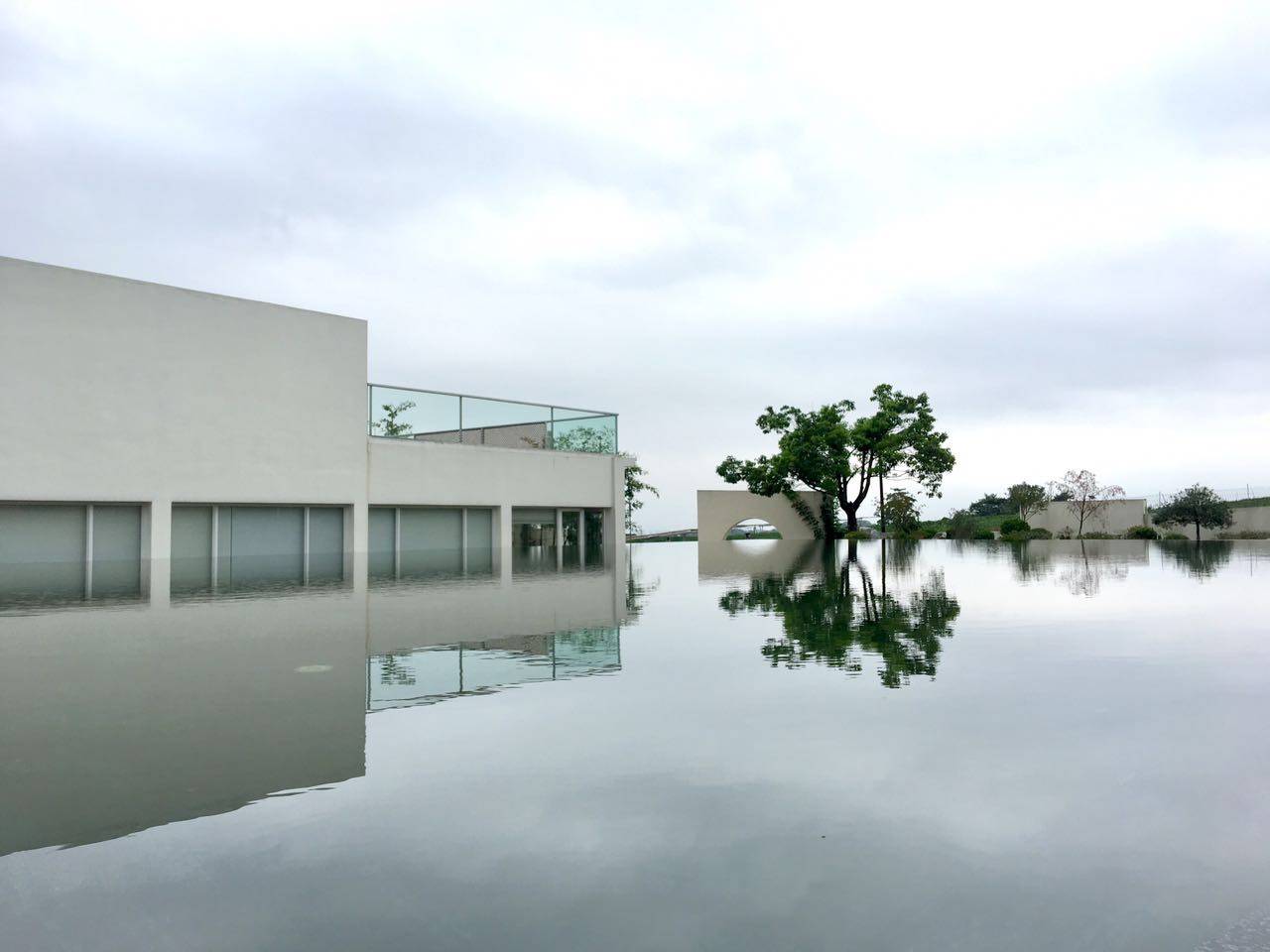 茗墅茶莊園，西湖以外的西湖