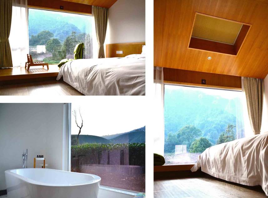 茗墅茶莊園，西湖以外的西湖