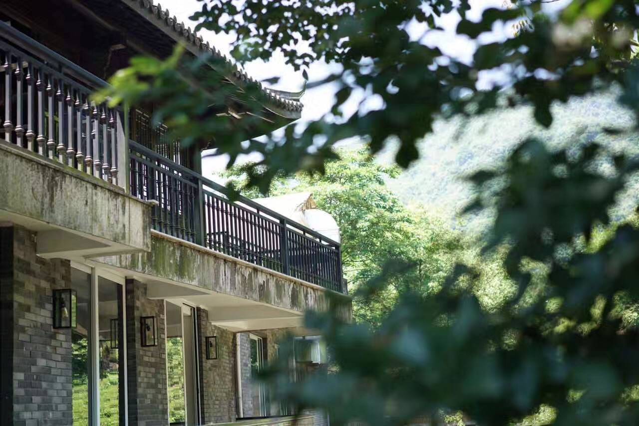 茗墅茶莊園，西湖以外的西湖