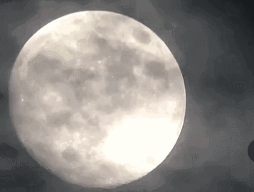 茗墅茶莊園，西湖以外的西湖