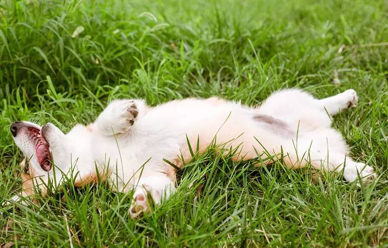 北京金岳臺(tái)溫泉酒店，承載著上個(gè)世紀(jì)的老磚樓