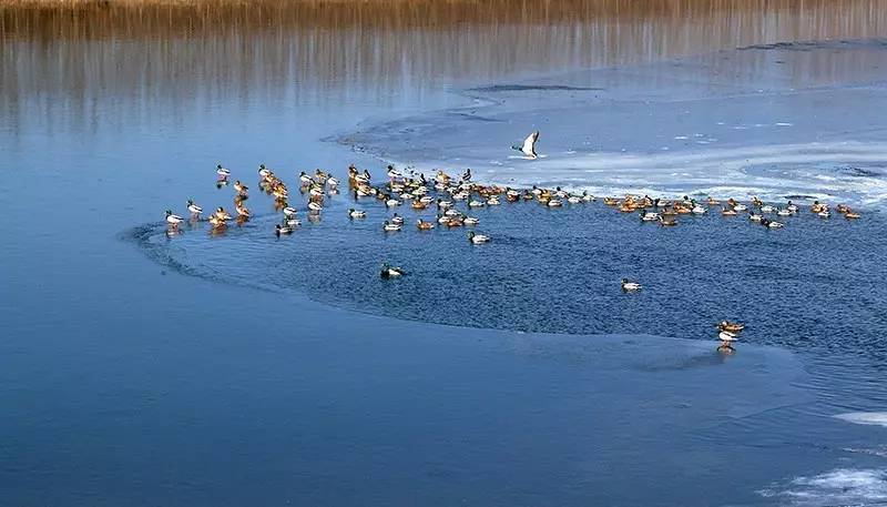 北京金岳臺溫泉酒店，承載著上個世紀的老磚樓