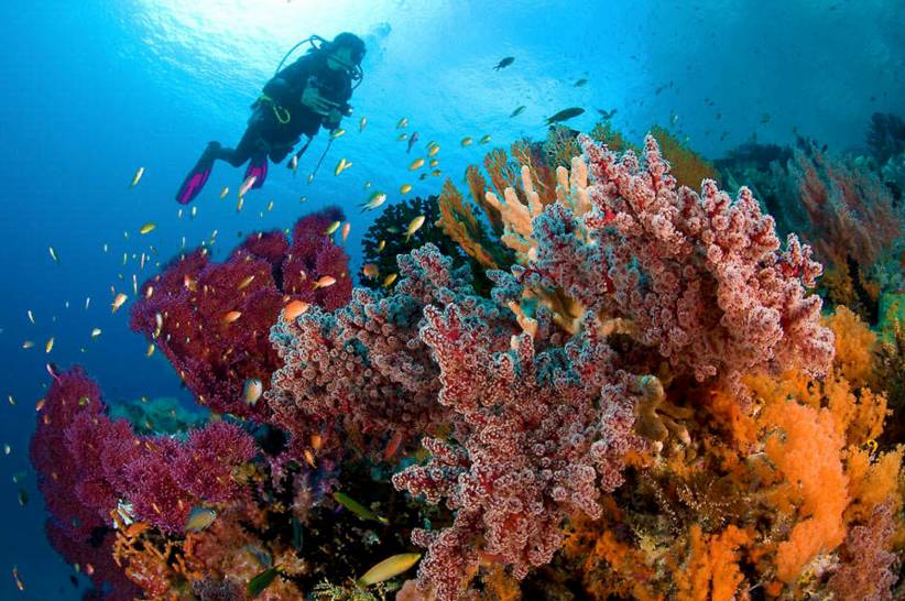 東極島·梵嶼，向往藍色自由守護心中美好的島嶼