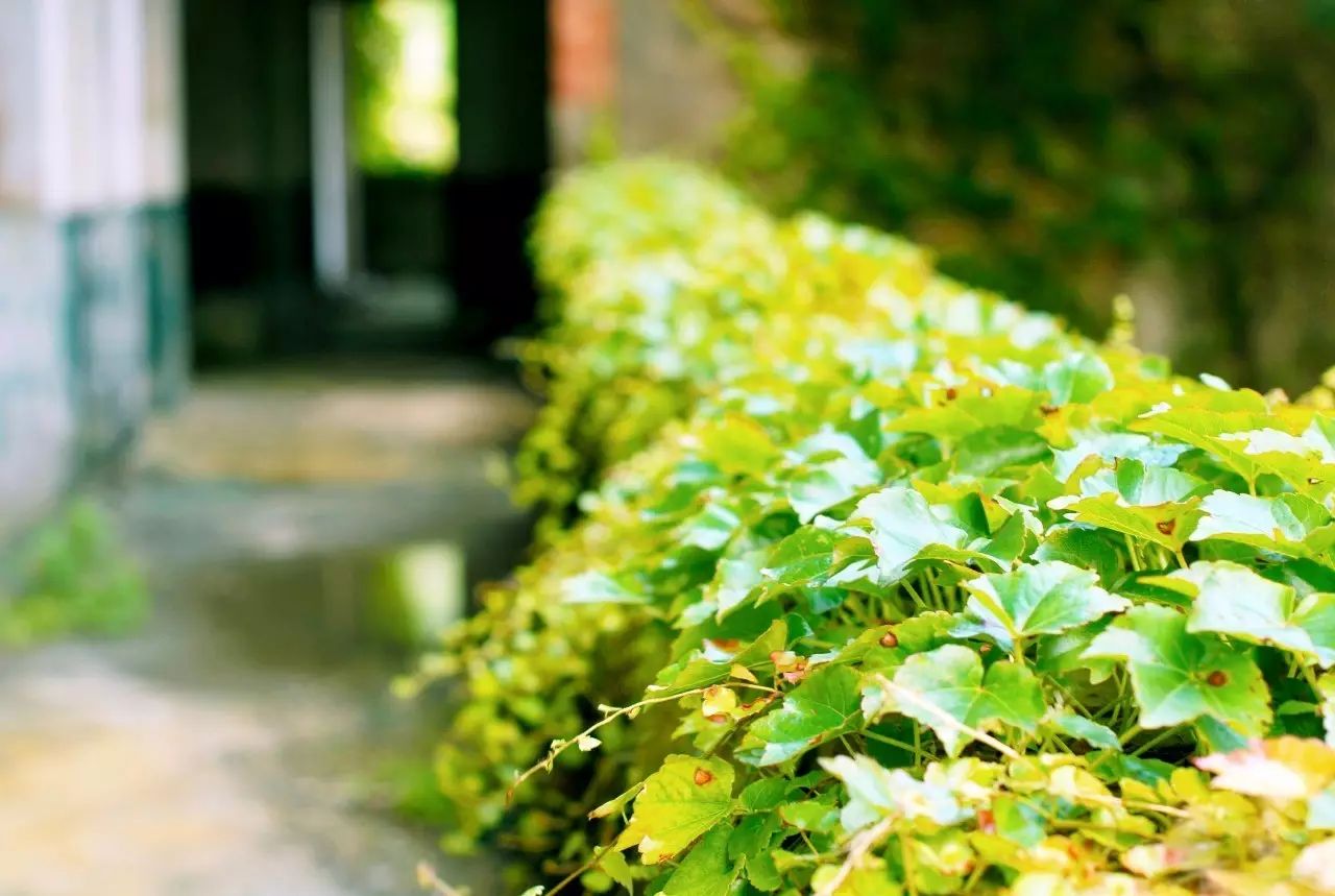 東極島·梵嶼，向往藍(lán)色自由守護(hù)心中美好的島嶼