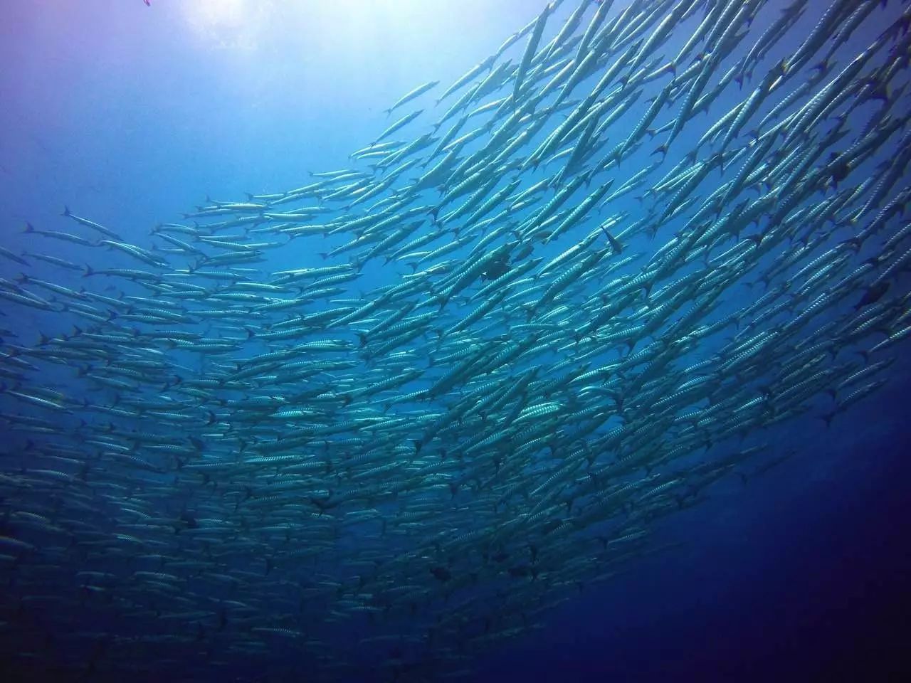 東極島·梵嶼，向往藍(lán)色自由守護(hù)心中美好的島嶼