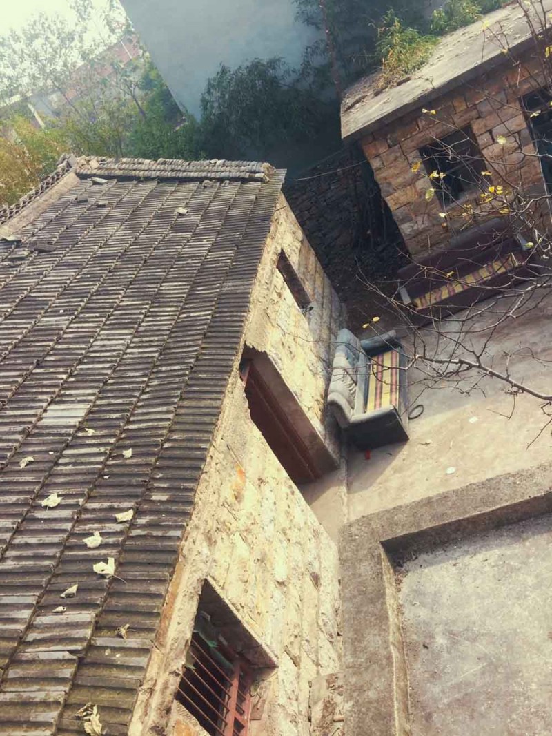 桃花源，有花為伴有茶糊口每一天都是美好光陰