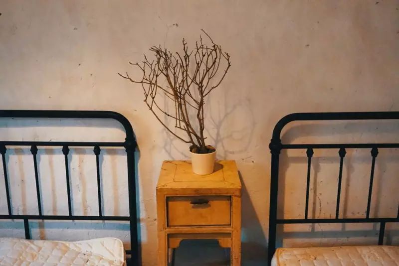 桃花源，有花為伴有茶糊口每一天都是美好光陰