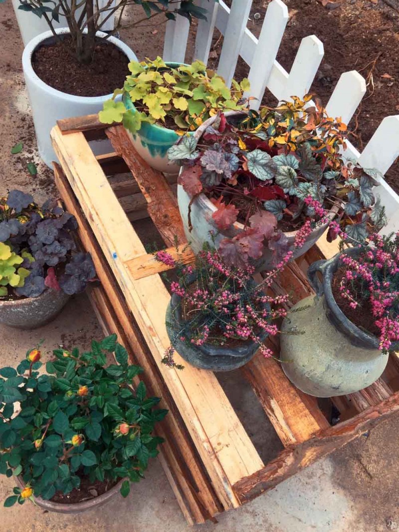 桃花源，有花為伴有茶糊口每一天都是美好光陰