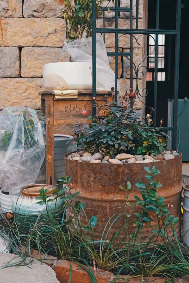 桃花源，有花為伴有茶糊口每一天都是美好光陰