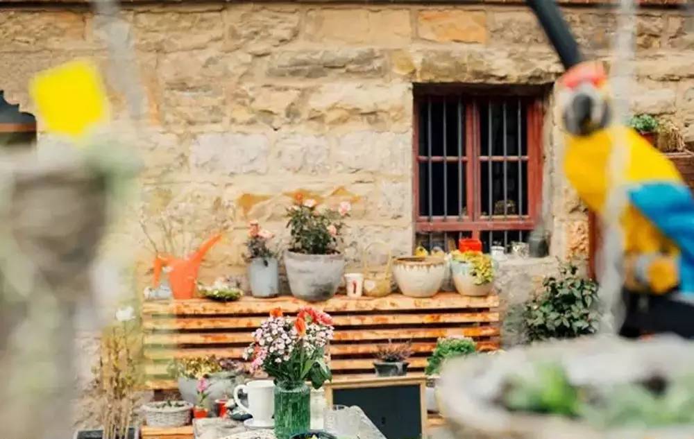 桃花源，有花為伴有茶糊口每一天都是美好光陰