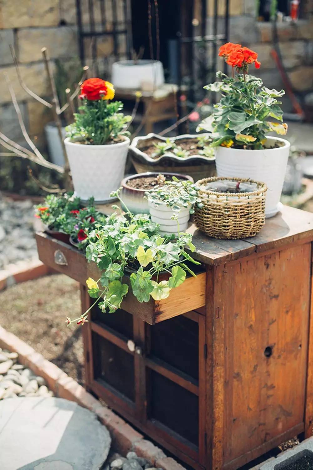 桃花源，有花為伴有茶糊口每一天都是美好光陰