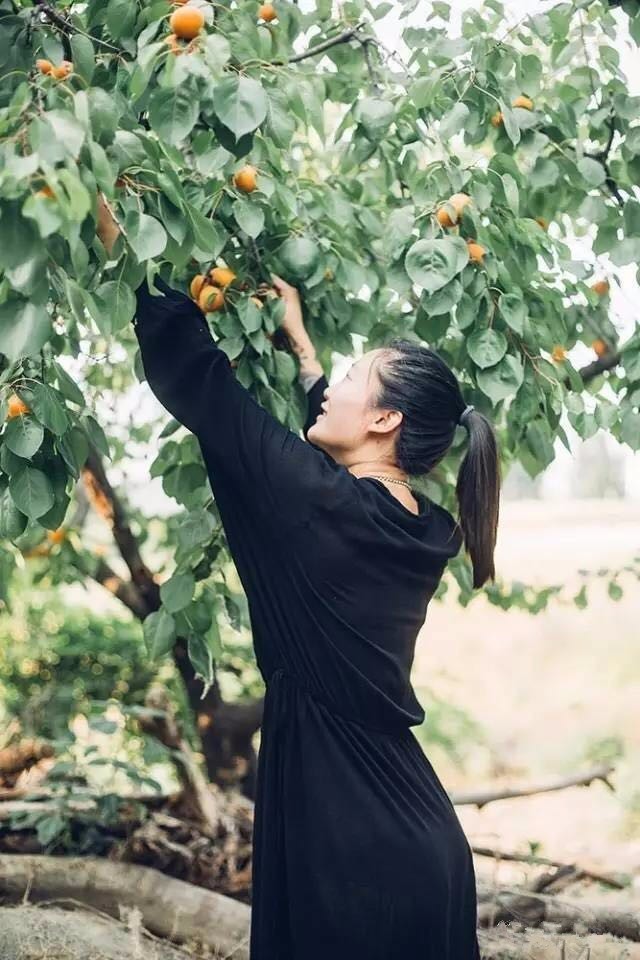 桃花源，有花為伴有茶糊口每一天都是美好光陰