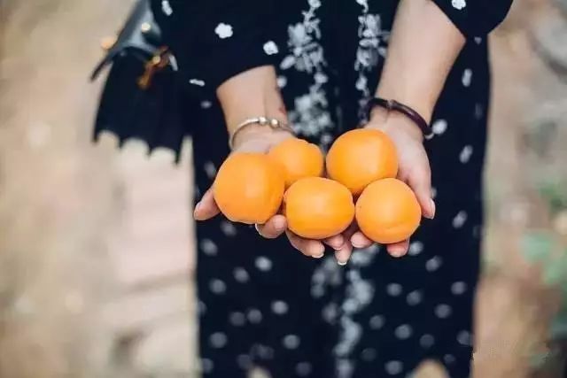桃花源，有花為伴有茶糊口每一天都是美好光陰