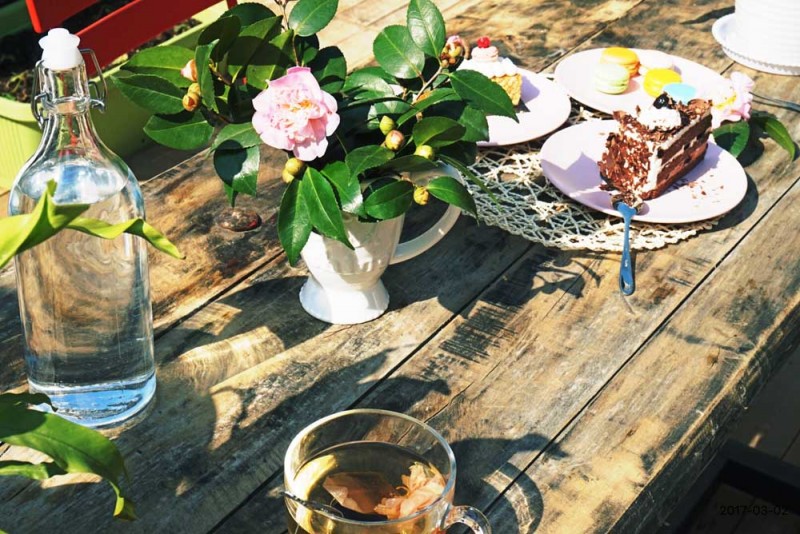 桃花源，有花為伴有茶糊口每一天都是美好光陰