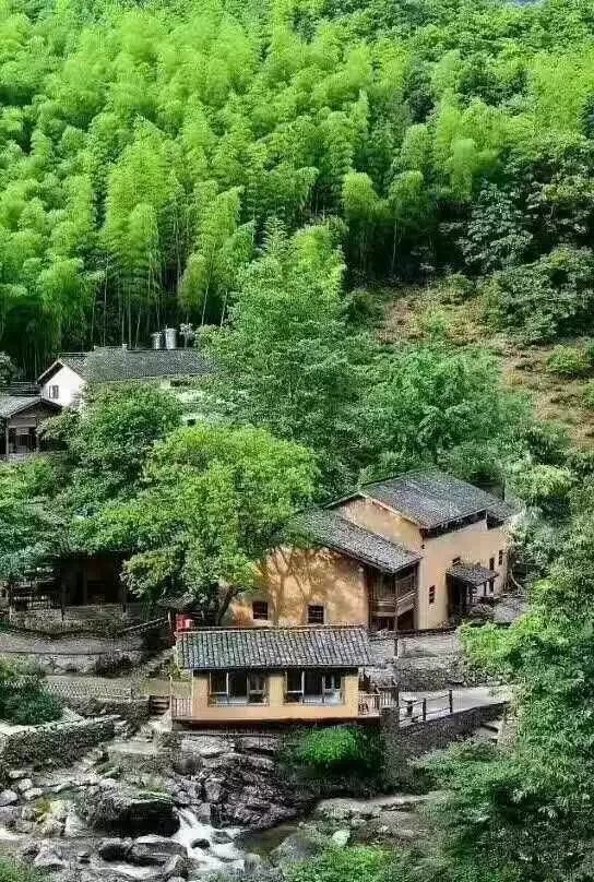 云門(mén)山居，雕琢廚藝隱居世外匠心如一