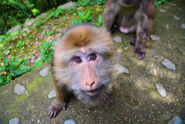 云門山居，雕琢廚藝隱居世外匠心如一